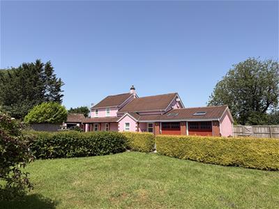 Picture 29